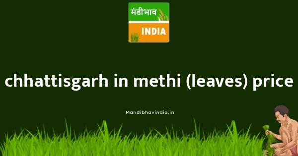 Methi (Leaves) Price